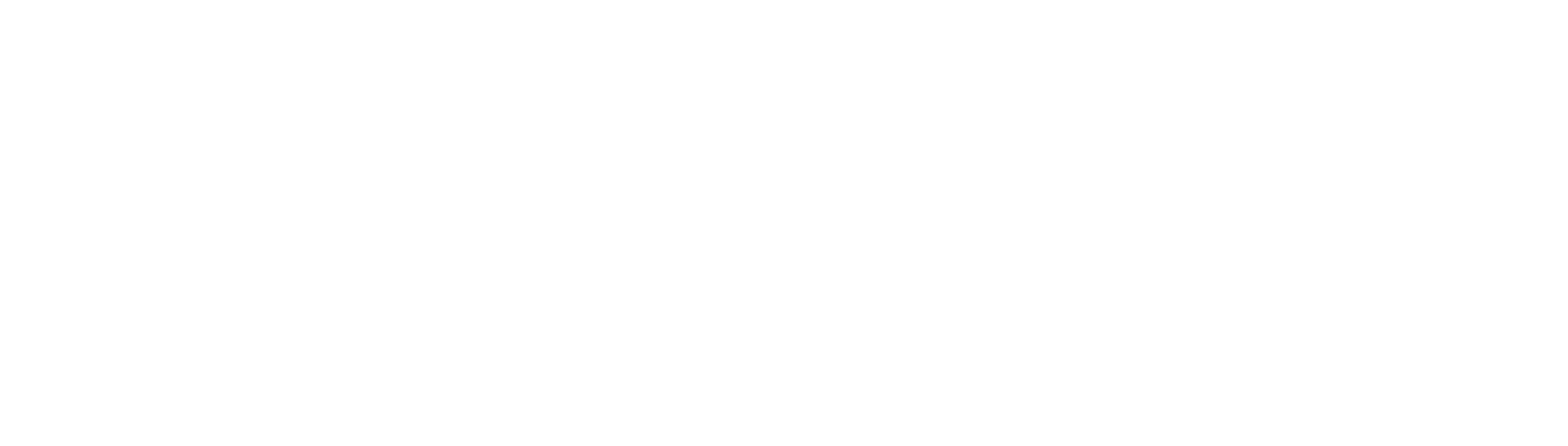 Vector Marketing Corporation Logo